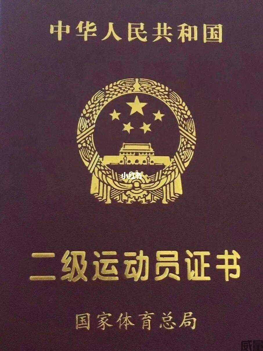 国家二级运动员