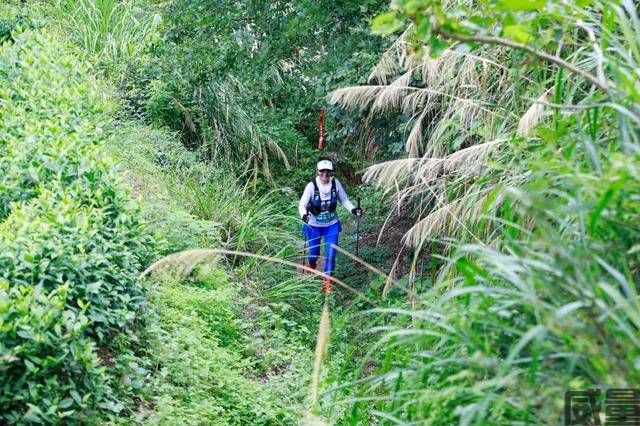 【越野跑】UTO8月27助力开跑，黄山西宏168超级赛，赛前预热赛现在开始报名啦！(图2)