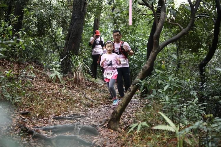 【亲子跑】7月15日开跑！2023南京“酷野周末”森林亲子运动会正在报名中~(图18)