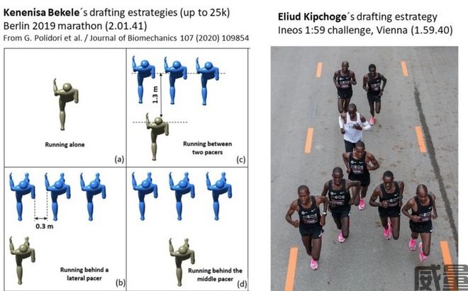 【威量干货】熟练掌握跟随跑技巧，让你在马拉松比赛过程中始终保持轻松状态！(图13)