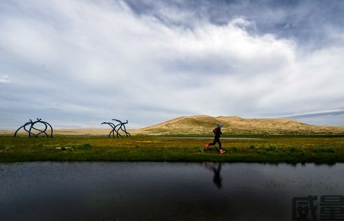 【威量干货】越野跑是什么比赛，越野跑的魅力在哪里，为什么这么多人喜欢越野跑，参加越野跑需要准备什么东西？(图6)