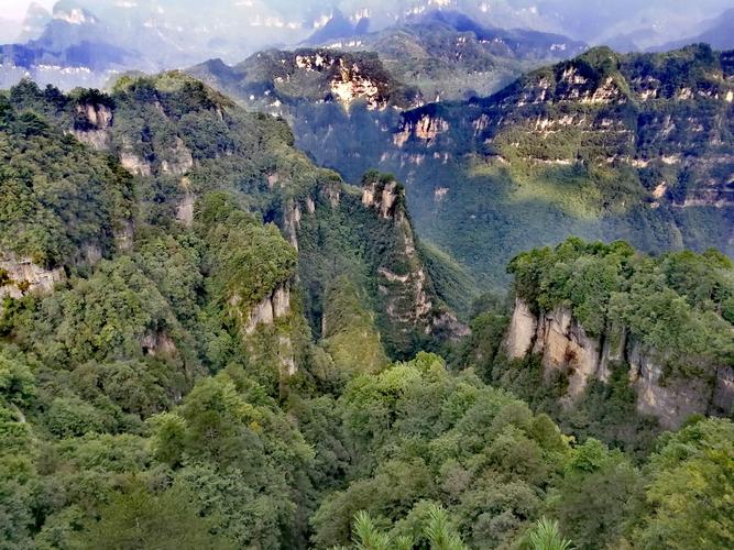 2023第三届"巴山蜀水·运动川渝"光雾山夏季森林半程马拉松定档8月12日开跑!现开始报名(图6)
