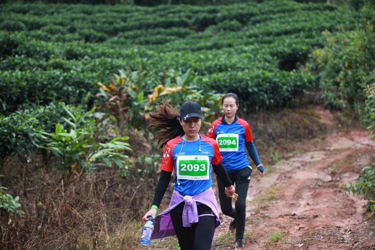 为什么说参加山地马拉松最后考验的是毅力和心态(图1)