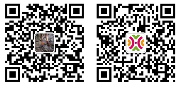 2023徽州百公里越野赛11月25~26日开赛|报名截止10月31日,额满即止(图10)