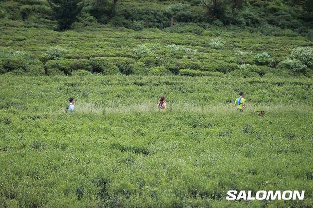 报名截止9月25日|2023无锡Salomon九龙争霸山径赛9月30日在江苏无锡九龙湾花园丽呈酒店开赛(图16)