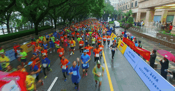 1695022089598181.gif