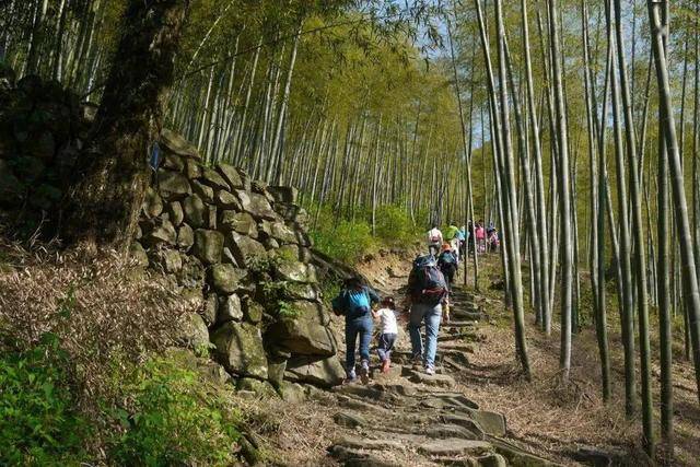 10月15日开跑|浙北秘境-安吉龙王古道群越野跑正在报名中(图13)