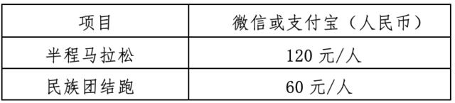 感受仫佬族传统文化,体验依饭节氛围|2023罗城半程马拉松11月12日在广西河池市罗城仫佬族自治县开跑(图4)