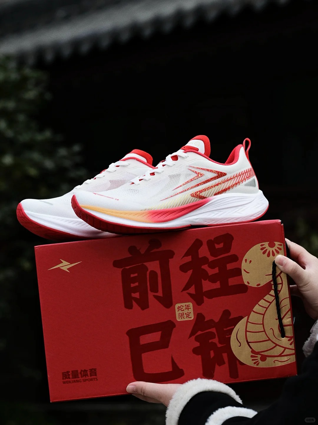蛇年限定闪耀1.5！新年PB易如反掌！
